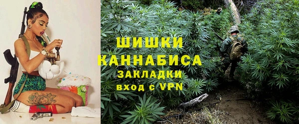 ГАЛЛЮЦИНОГЕННЫЕ ГРИБЫ Липки